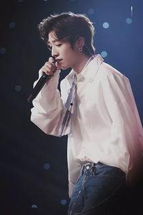 明星fang,探寻明星fang的璀璨人生