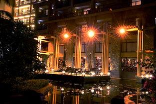 夜色酒店在线播放,沉浸式在线观影体验，揭秘都市夜生活面纱