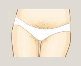 明星阴毛图,阴毛图背后的故事与启示